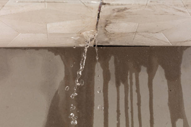 Professional Structural Drying technician working in Montezuma, IA